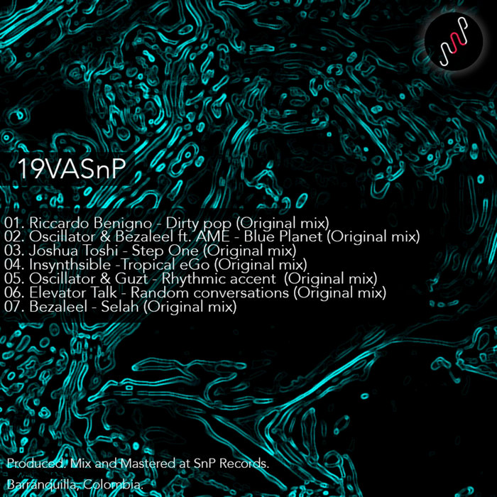 VARIOUS - 19VASnP