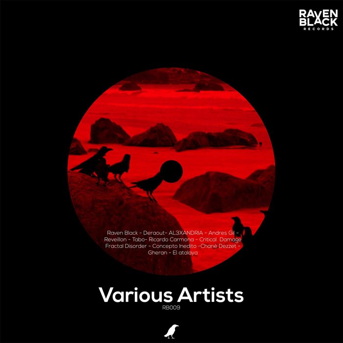 VARIOUS - Various Artists Vol 1