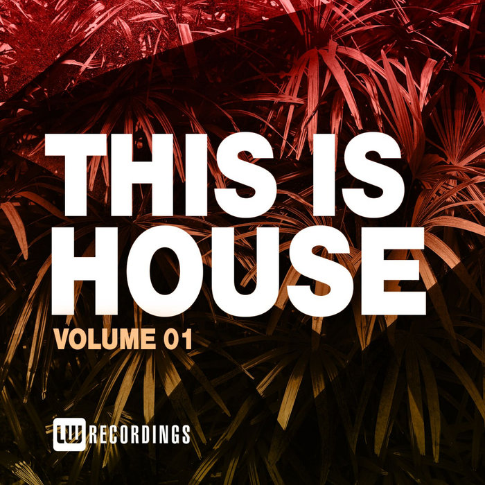 VARIOUS - This Is House Vol 01