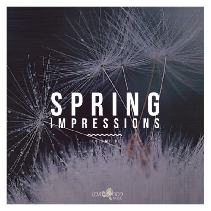 VARIOUS - Spring Impressions Vol 5