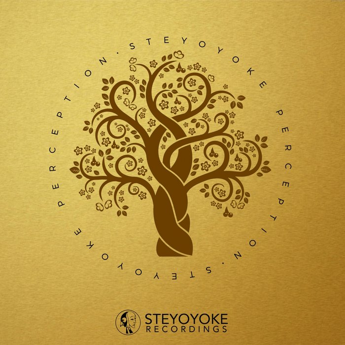 VARIOUS - Steyoyoke Perception Vol 4