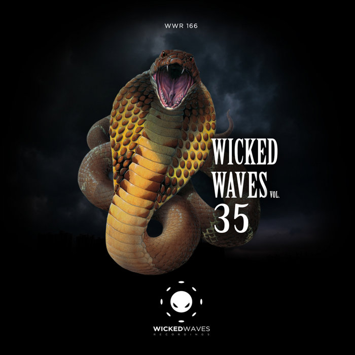 Wicked Waves by Sharon Kay Wicked Waves by Sharon Kay
