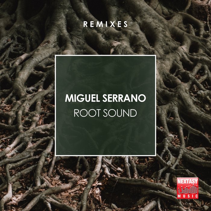 MIGUEL SERRANO - Root Sound (Remixes)