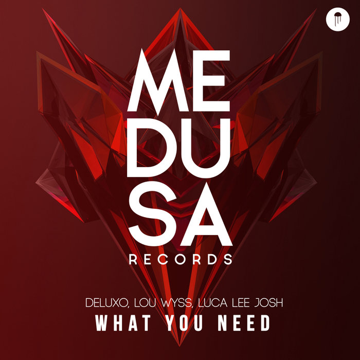 DELUXO/LOU WYSS/LUCA LEE JOSH - What You Need