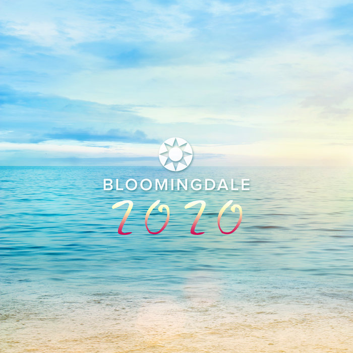 THE PALINDROMES/DAVE WINNEL/VARIOUS - Bloomingdale 2020 (unmixed tracks)