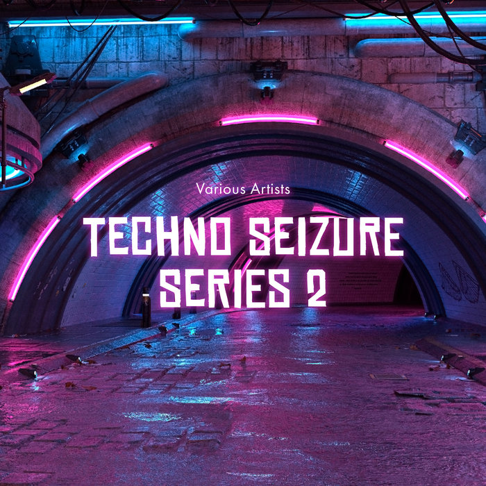 VARIOUS - Techno Seizure Series 2