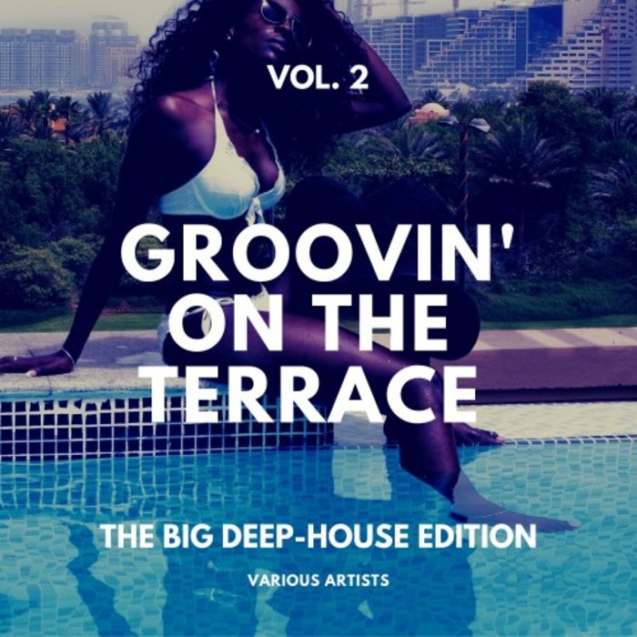 VARIOUS - Groovin' On The Terrace (The Big Deep-House Edition) Vol 2