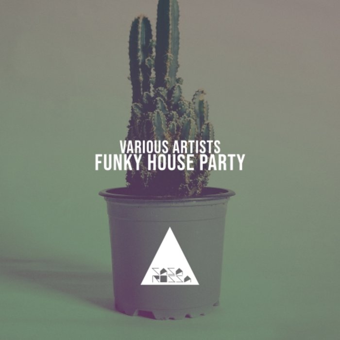 VARIOUS - Funky House Party