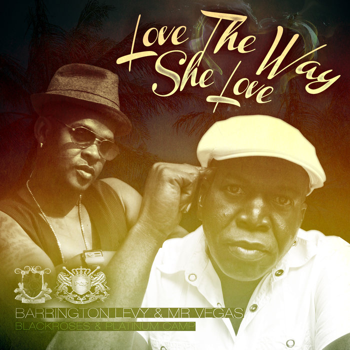 Barrington Levy feat Mr Vegas - Love The Way She Love