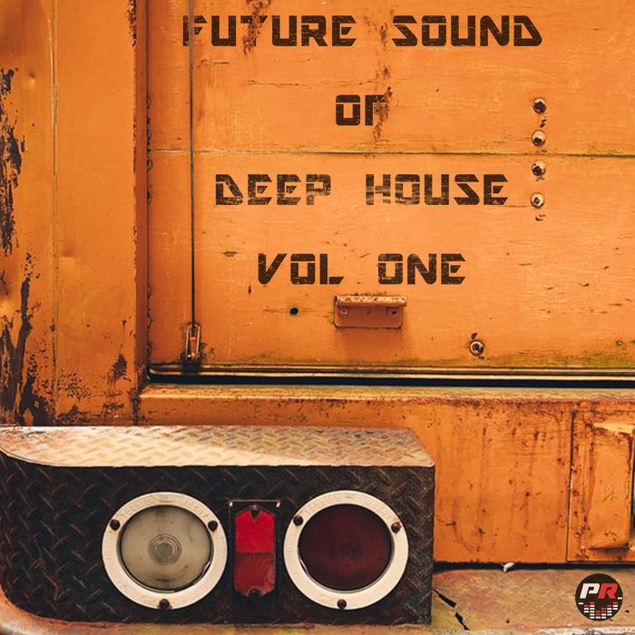 VARIOUS - Future Sound Of Deep House Vol 1