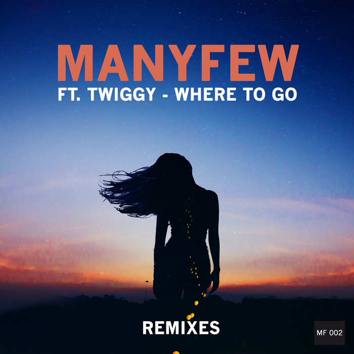 MANYFEW feat TWIGGY - Where To Go