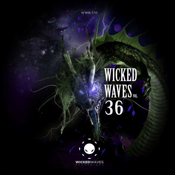 VARIOUS - Wicked Waves Vol 36