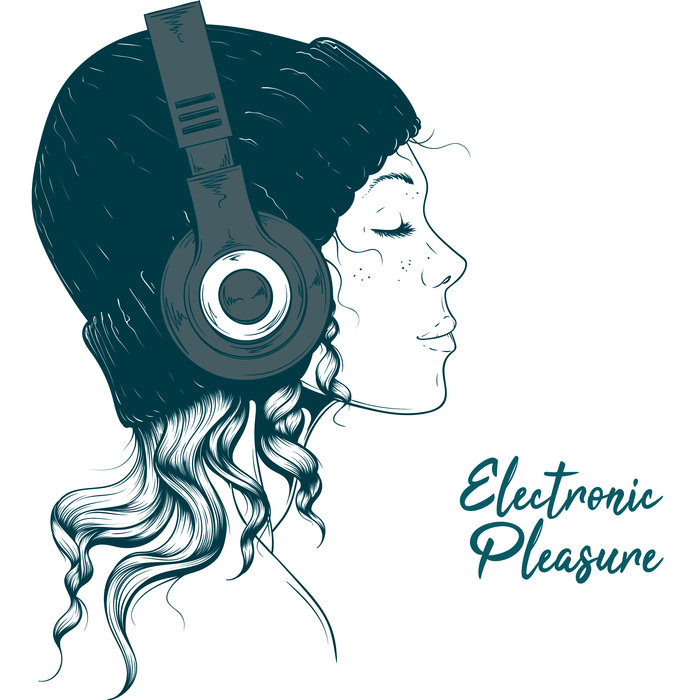 VARIOUS - Electronic Pleasure