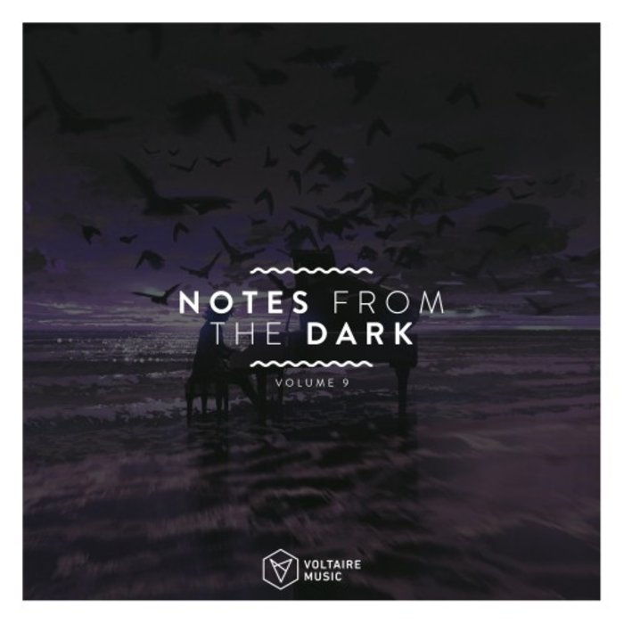 VARIOUS - Notes From The Dark Vol 9