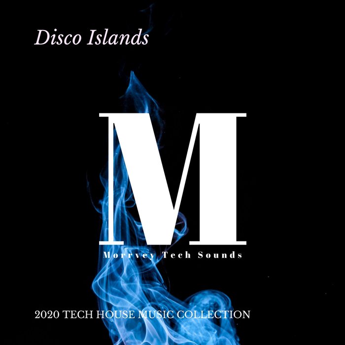 VARIOUS/DJ TAUS - Disco Islands - 2020 Tech House Music Collection