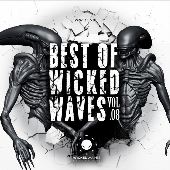 NIEREICH & SHADYM & CRISTIAN GLITCH/LUIX SPECTRUM/DOUBLEKICK/ATZE TON/BRYN GREEN/TIM WERMACHT - Best Of Wicked Waves Vol 08