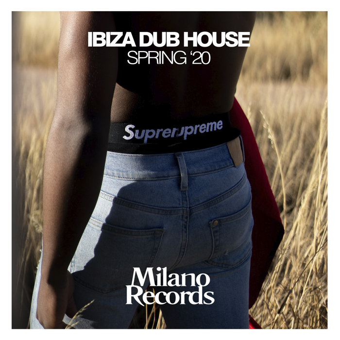 VARIOUS - Ibiza Dub House Spring '20
