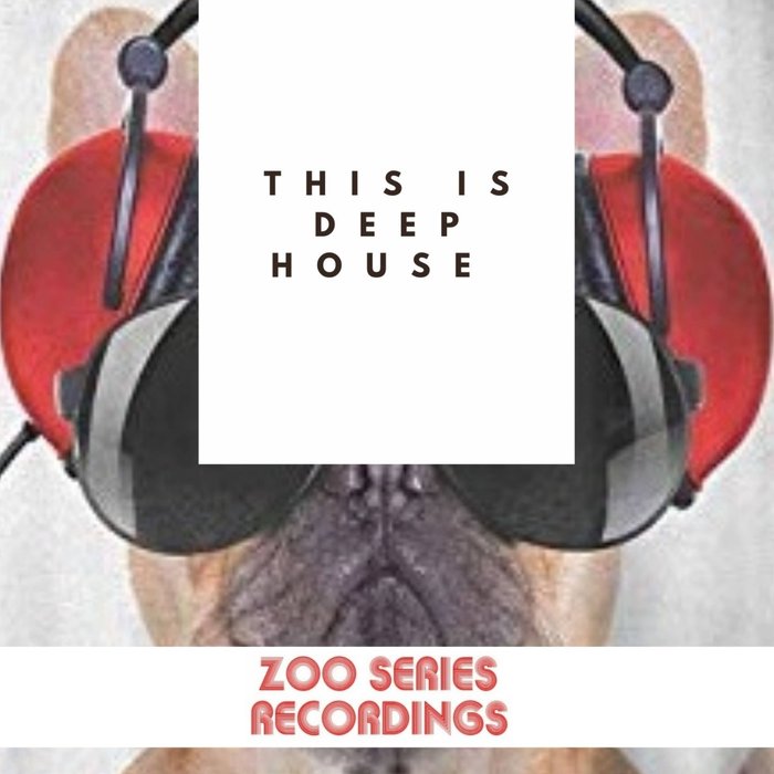 VARIOUS - This Is Deep House