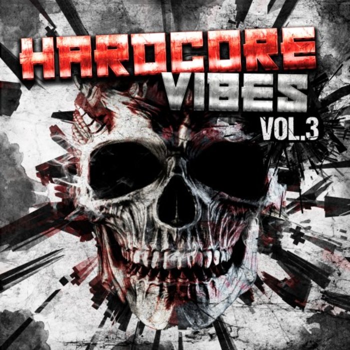 VA - Hardcore Vibes, Vol. 3 [403298930537]