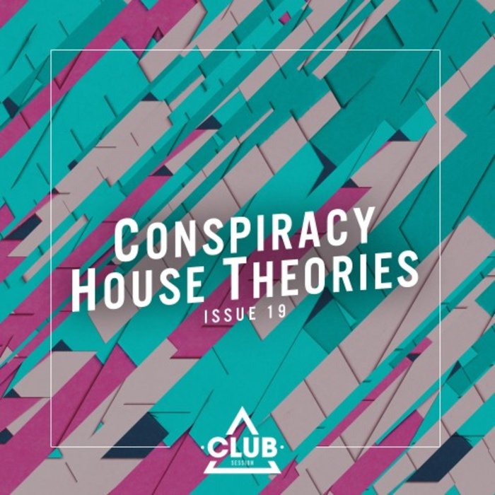 VARIOUS - Conspiracy House Theories, Issue 19
