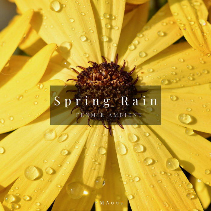 FENMIE AMBIENT - Spring Rain