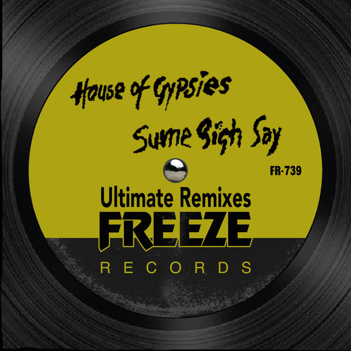 TODD TERRY/HOUSE OF GYPSIES - Sume Sigh Say (Ultimate Remixes)