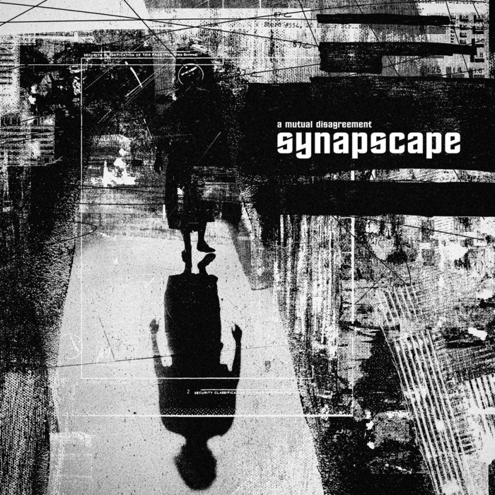 SYNAPSCAPE - A Mutual Disagreement