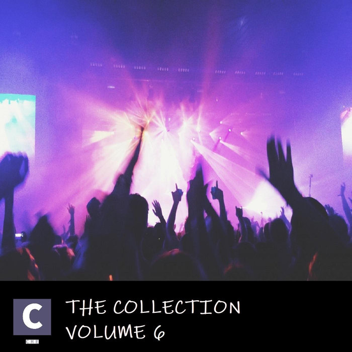 VARIOUS - The Collection - Volume 6 (Edits)