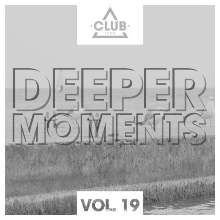 VARIOUS - Deeper Moments Vol 19