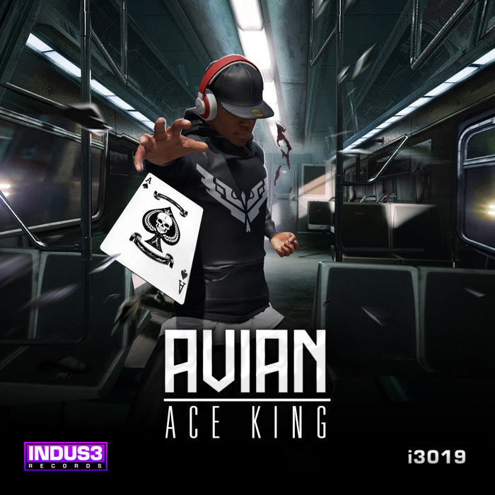 AVIAN - Ace King