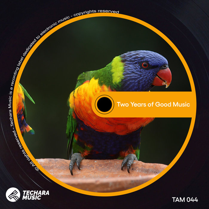 VARIOUS - Two Years Of Good Music