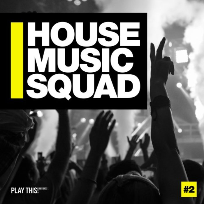 VARIOUS - House Music Squad #2