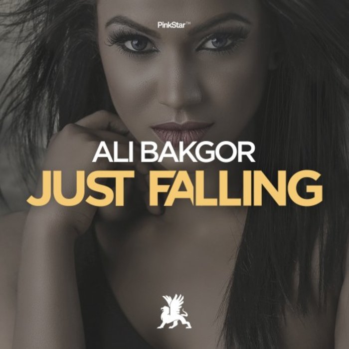 ALI BAKGOR - Just Falling