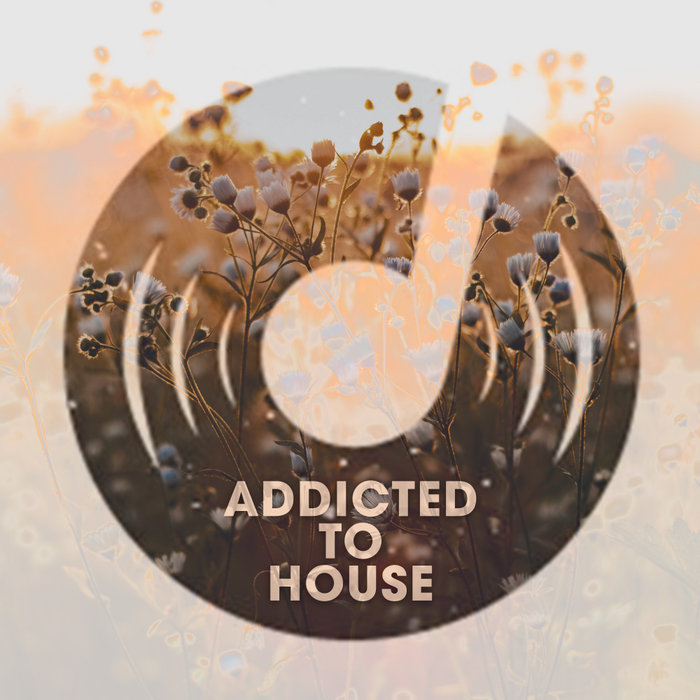VARIOUS - Addicted To House