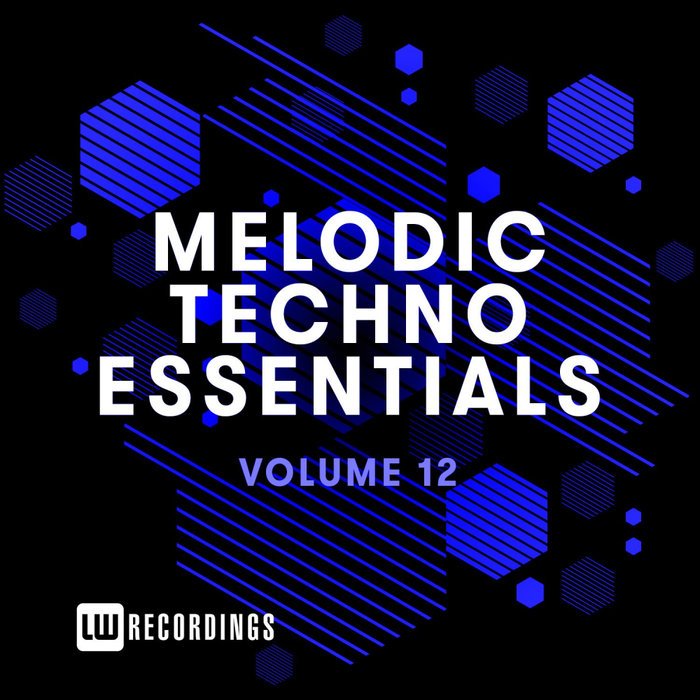 VARIOUS - Melodic Techno Essentials Vol 12