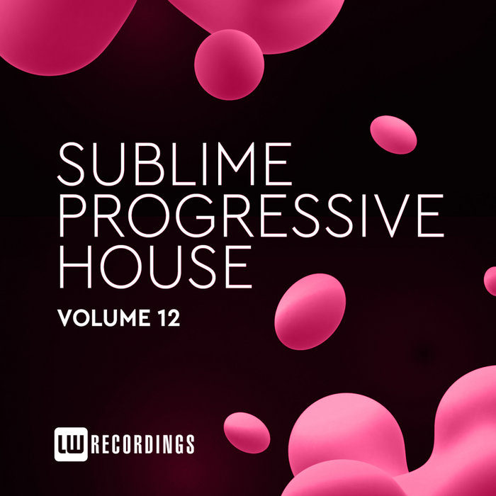 VARIOUS - Sublime Progressive House Vol 12
