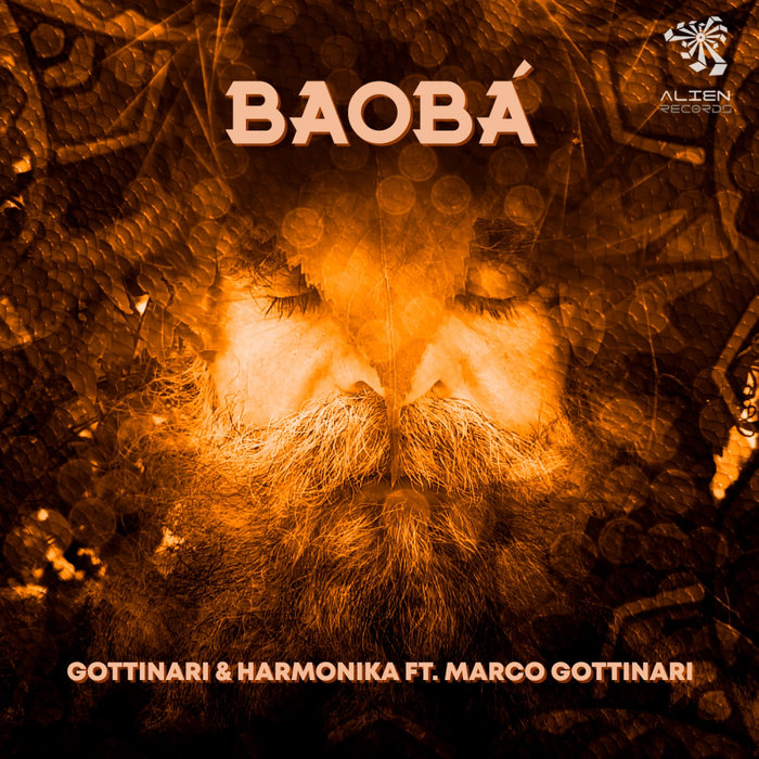 Gottinari/Harmonika feat Marco Gottinari - Baoba