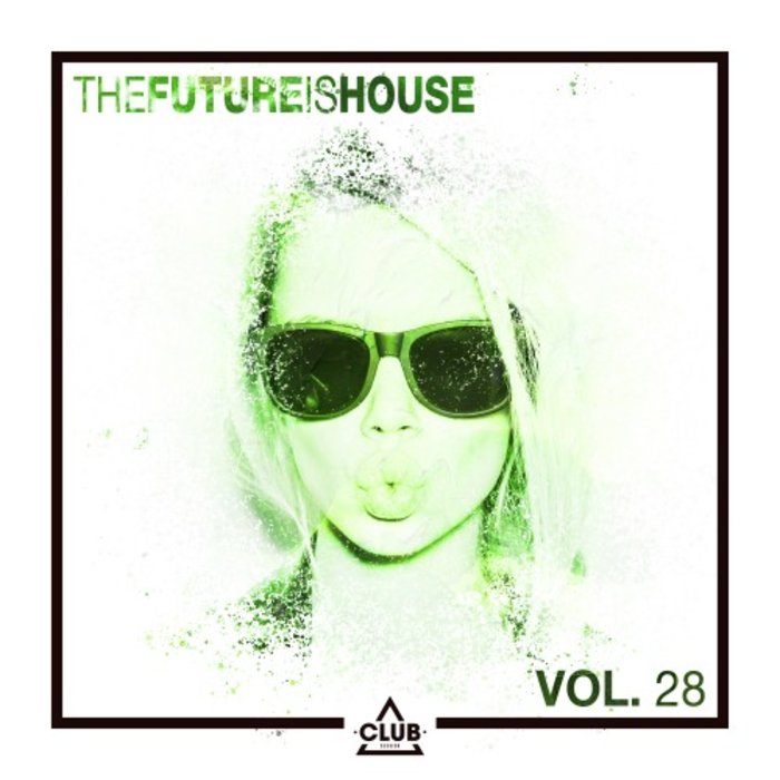 VARIOUS - The Future Is House Vol 28