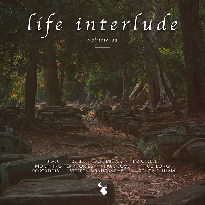 VARIOUS - Life Interlude Vol 01