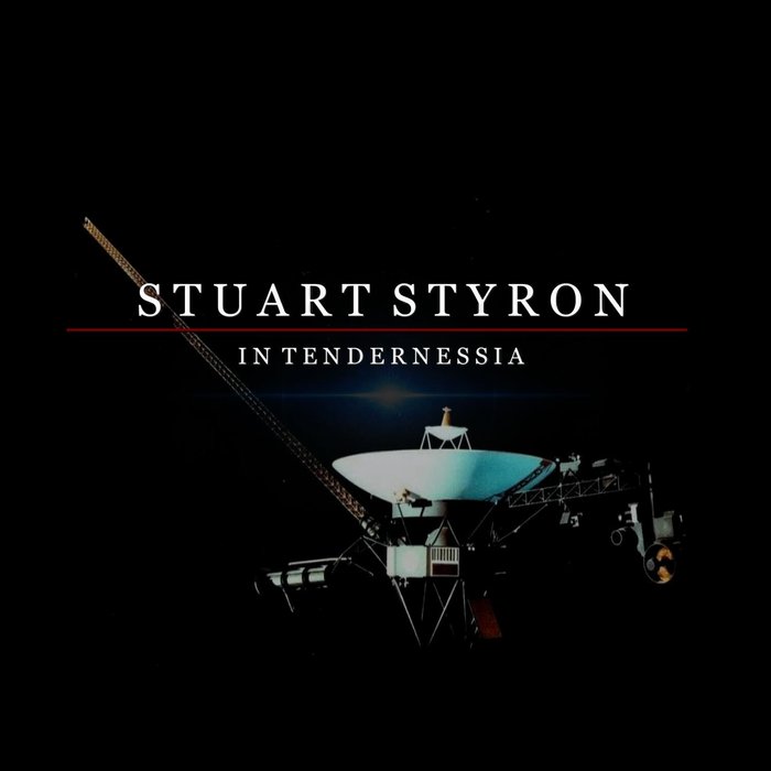 STUART STYRON - In Tendernessia
