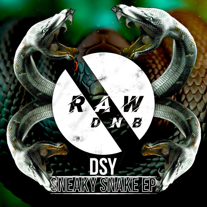 DSY - Sneaky Snake