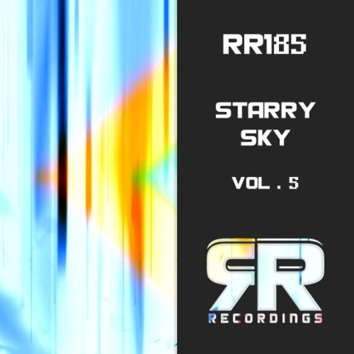 VARIOUS - Starry Sky Vol 5