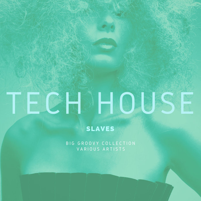 VARIOUS - Tech House Slaves (Big Groovy Collection)