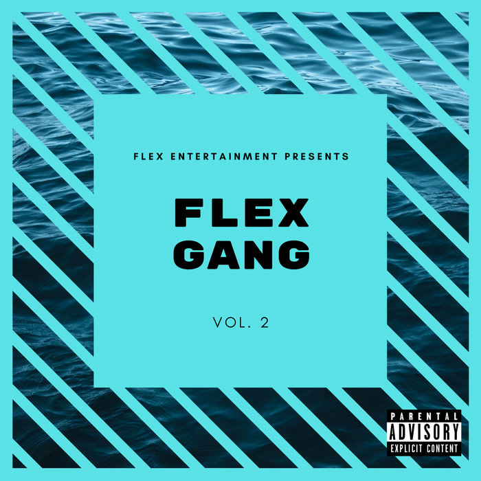 VARIOUS - Flex Gang Vol 2