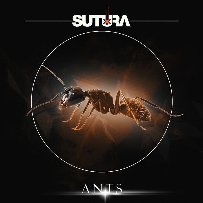 SUTURA - Ants