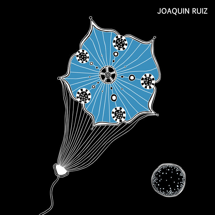 JOAQUIN RUIZ - Voices Of Space