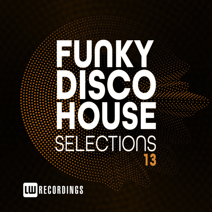 VARIOUS - Funky Disco House Selections Vol 13