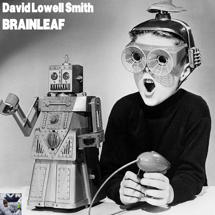 DAVID LOWELL SMITH - Brainleaf