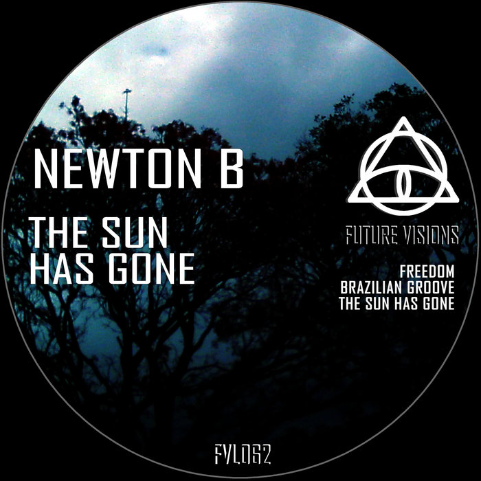 NEWTON B - The Sun Has Gone