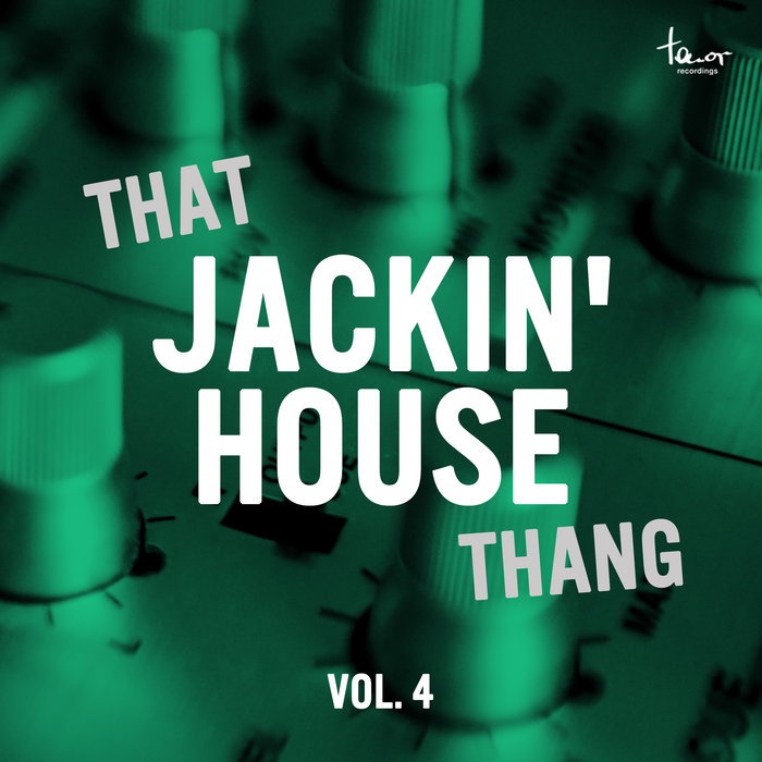 VARIOUS - That Jackin' House Thang Vol 4